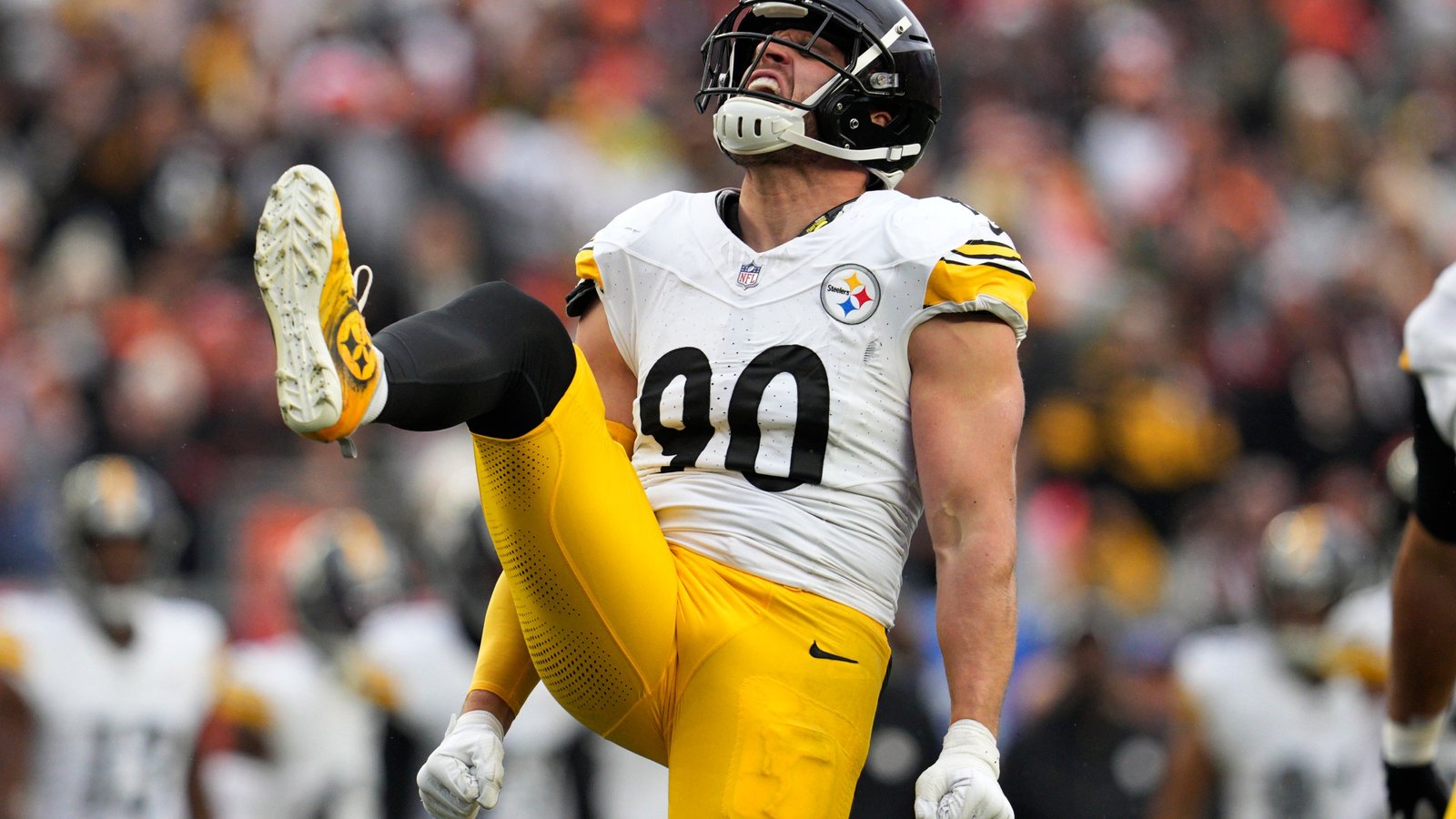 T.J. Watt